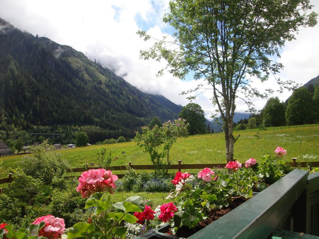 Apartments Geistlinger Flachau Luaran gambar